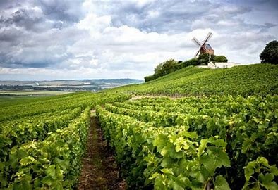 Bruno Paillard Champagnertasting